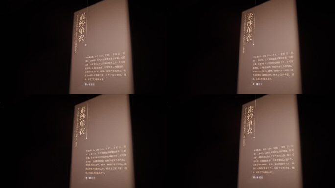 4K正版-湖南省博物馆标志牌 素纱单衣