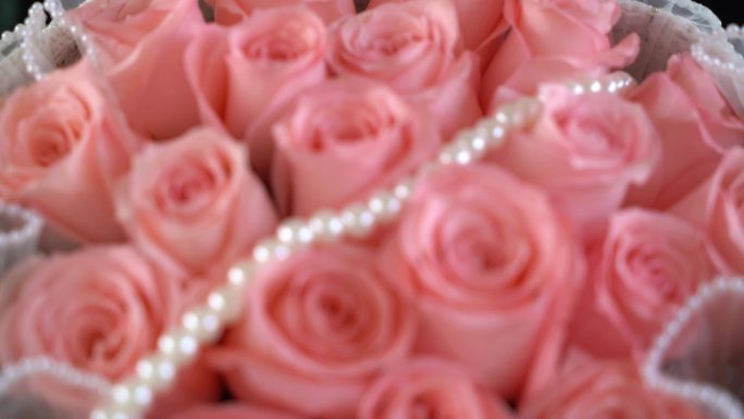 情人节送玫瑰花，粉色珍珠玫瑰花 七夕