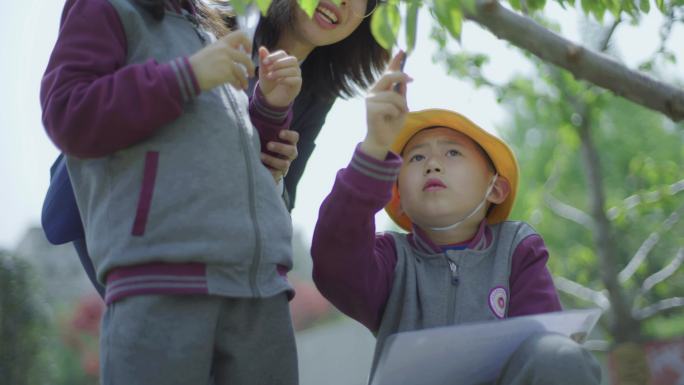 学生研学，探索，放大镜观察，学校，学习