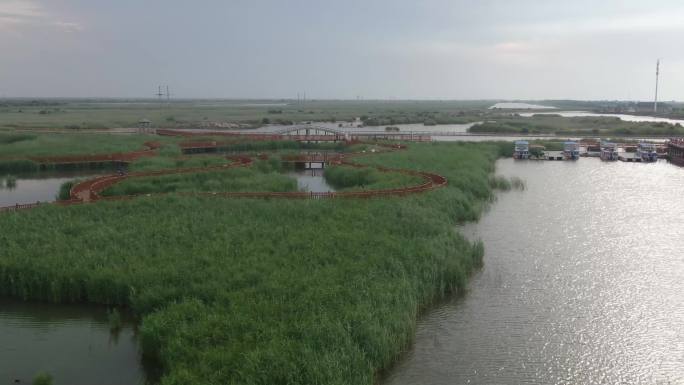黄河入海口湿地公园景观高清航拍