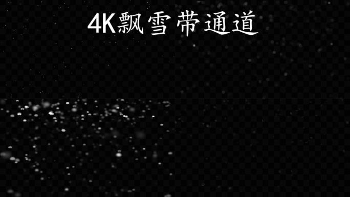 9组4K飘雪（带通道）