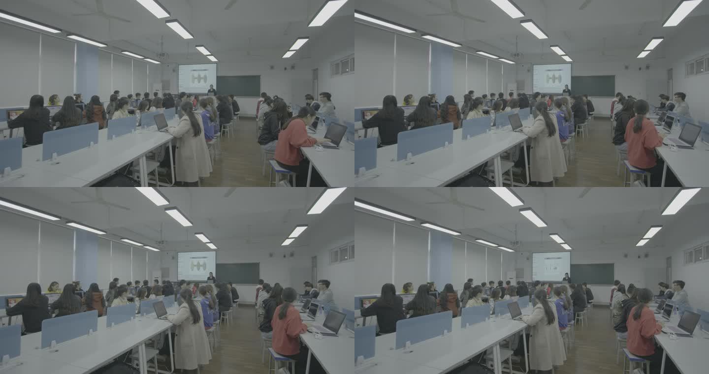 【4K灰度】电子课件老师讲课大学课堂