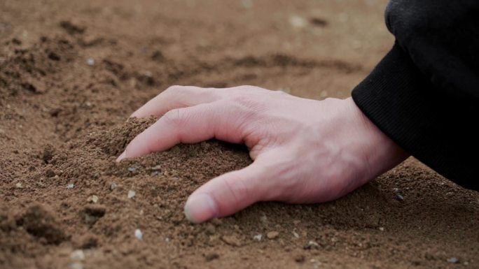 手抓泥土特写黑土地土壤检测触摸大地干旱