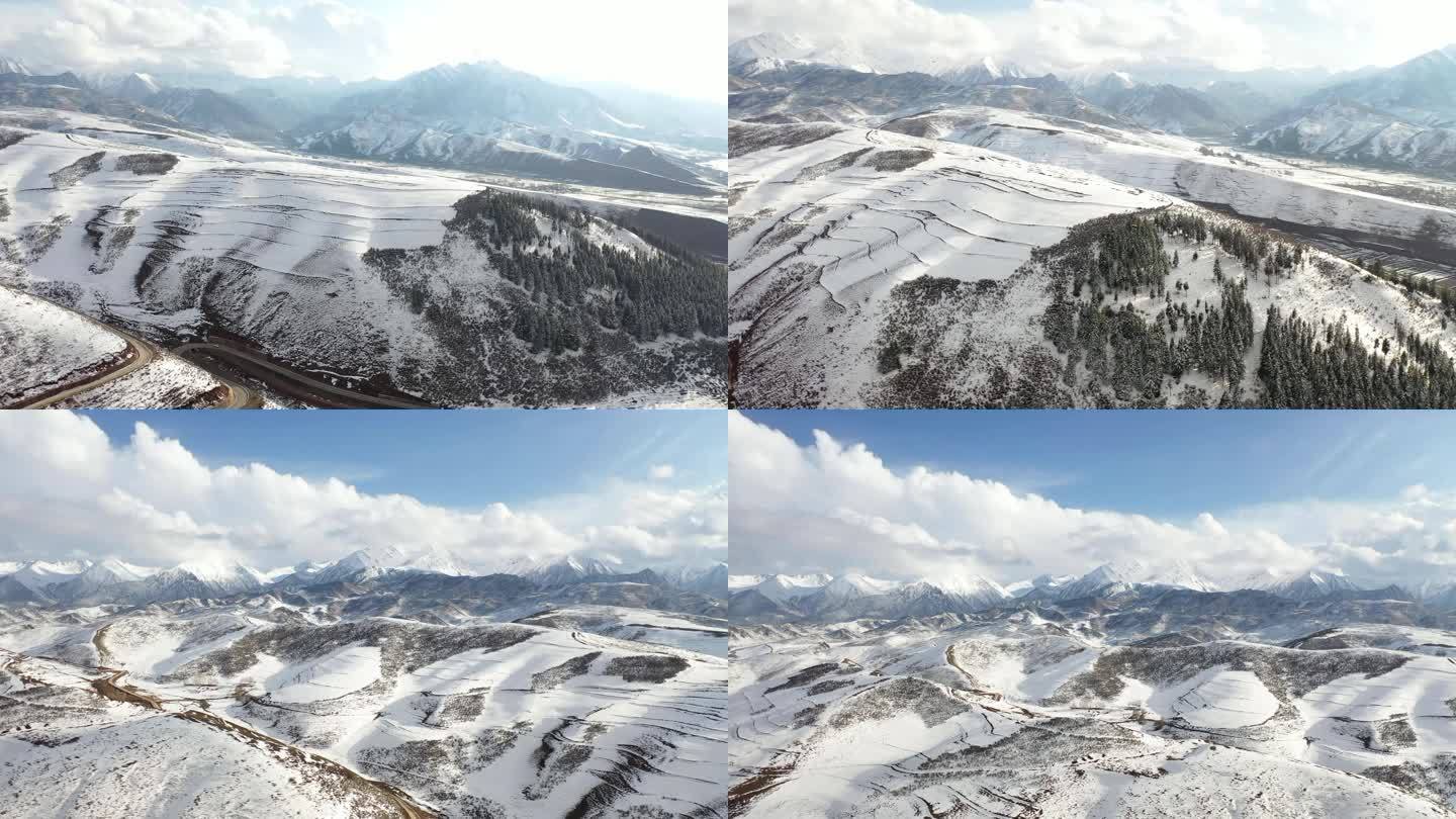 青海雪山 新疆雪山 雪山