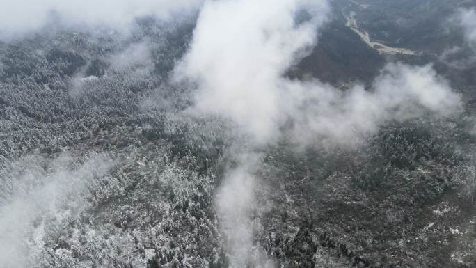 森林雪景航拍视频素材2