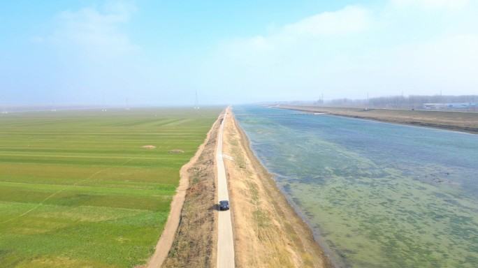 沂河淌万亩麦田风景