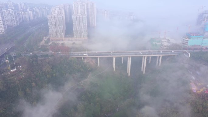 重庆 嘉悦大桥 平流雾 雾都 日出
