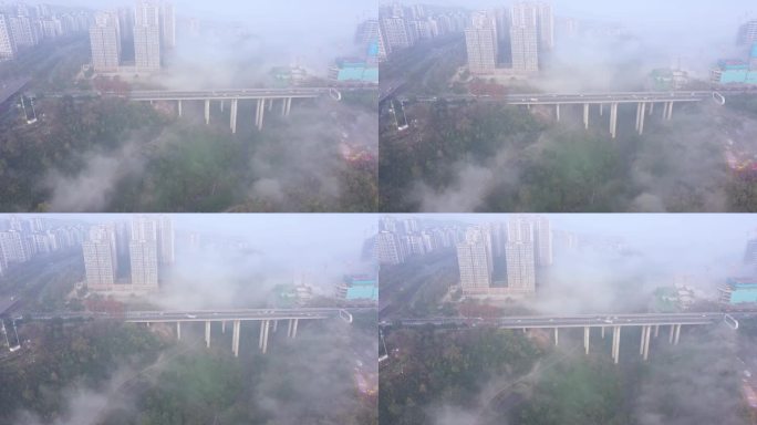 重庆 嘉悦大桥 平流雾 雾都 日出