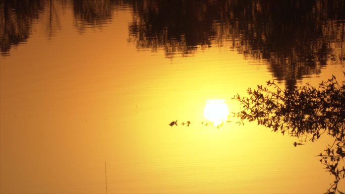 黄昏时刻，金色湖面倒映着金色太阳