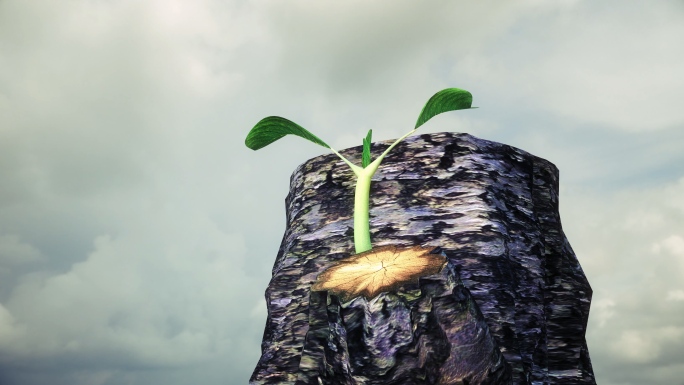 树桩木桩发芽过程延时三维动画视频素材
