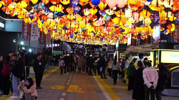 正月十五元宵节市民赏花灯活动