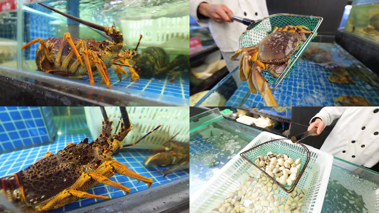餐厅海鲜区 海鲜池 龙虾 螃蟹 象拔蚌