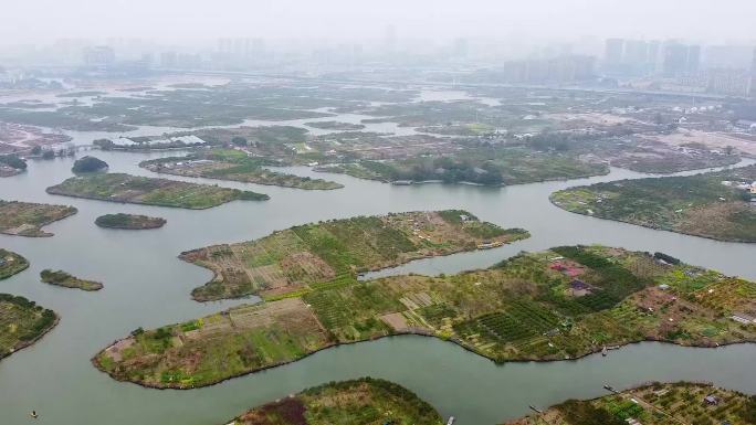 温州市区航拍五马街南塘三垟湿地泽雅