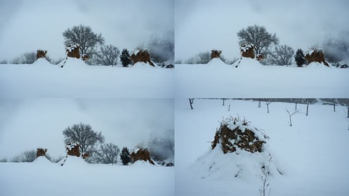 下雪天 玉米地雪景 雪地 农村雪景