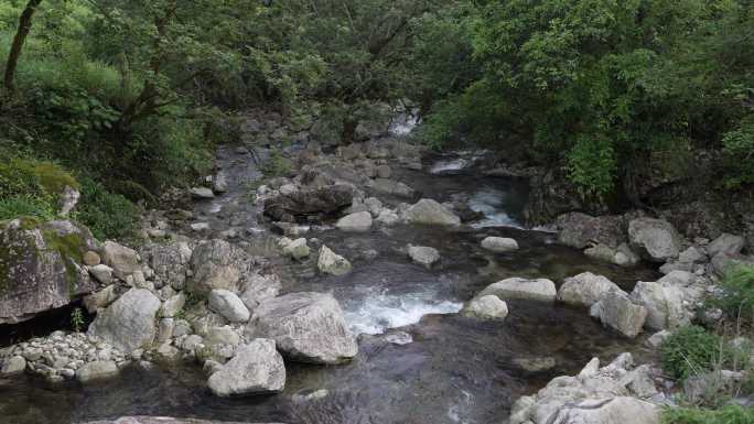 山间小溪森林溪水福建山林小溪武夷山脉