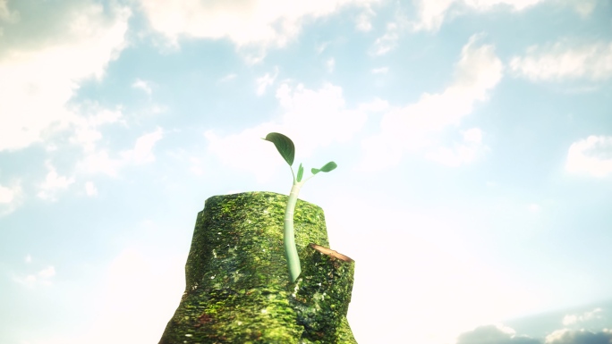 树桩木桩发芽三维动画视频素材青苔苔藓绿色
