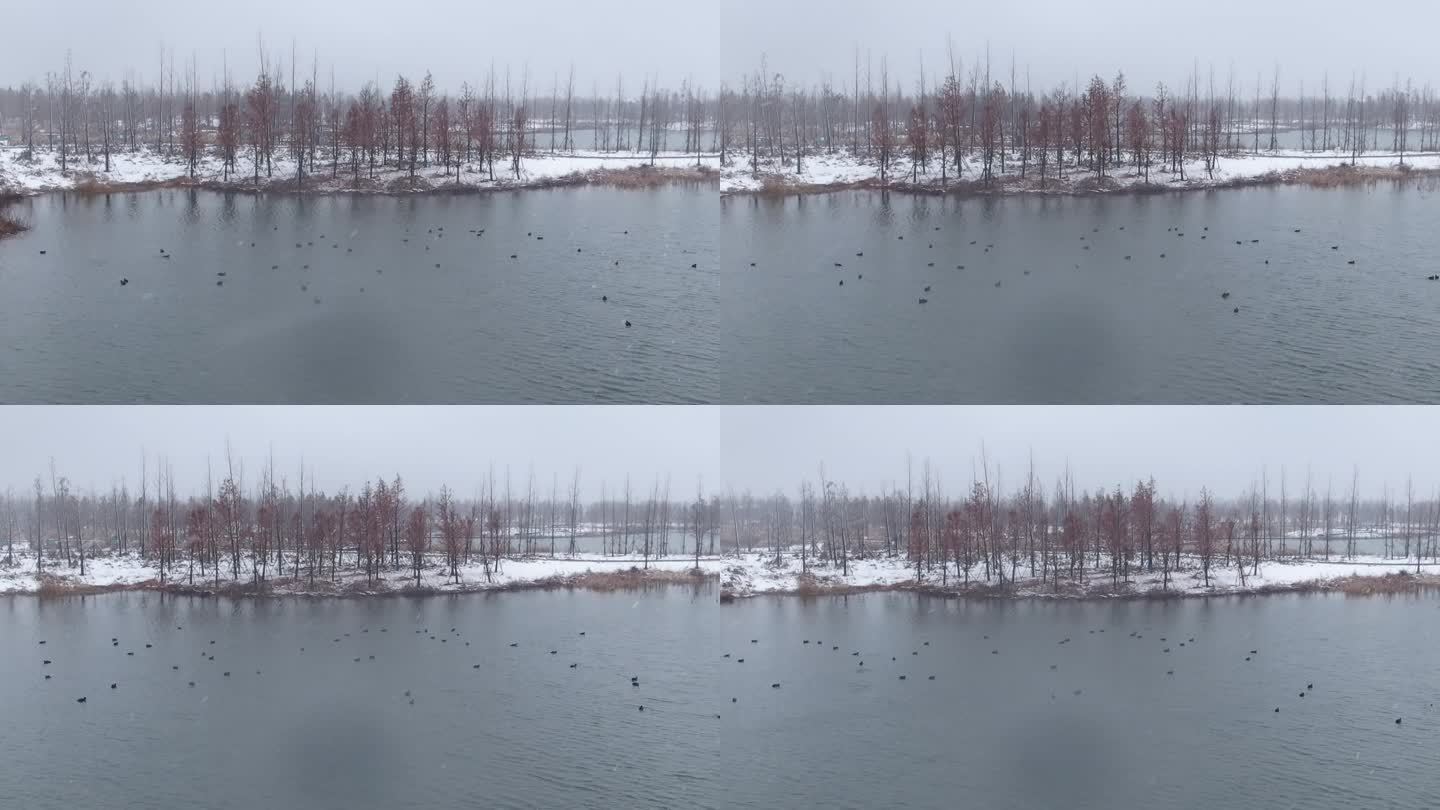 扬州北湖湿地公园雪景