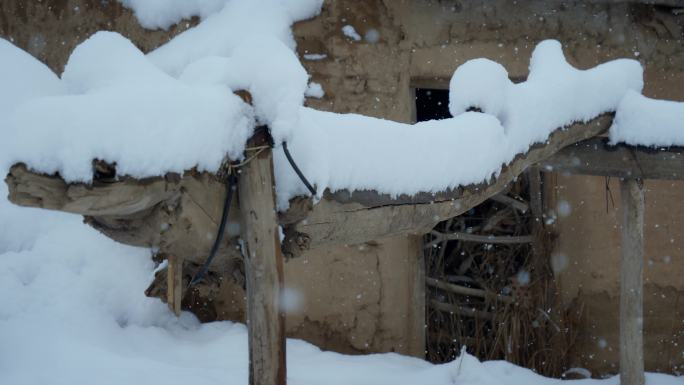 下雪天 农家院 雪景 栓牛圈 山村 年代