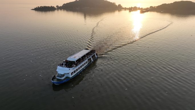 无锡鼋头渚夕阳游船红嘴鸥