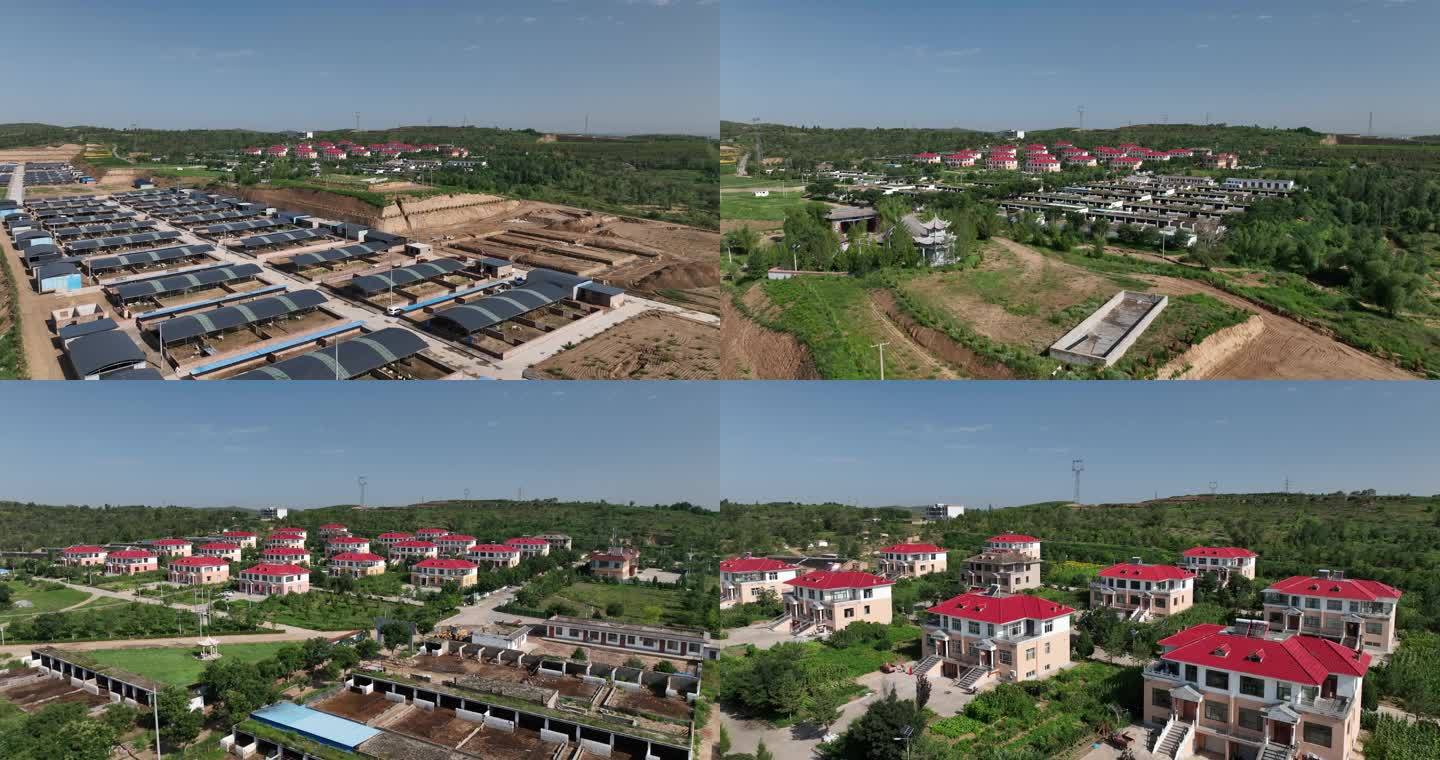 榆林市横山区羊产业发展服务区产业发展4K