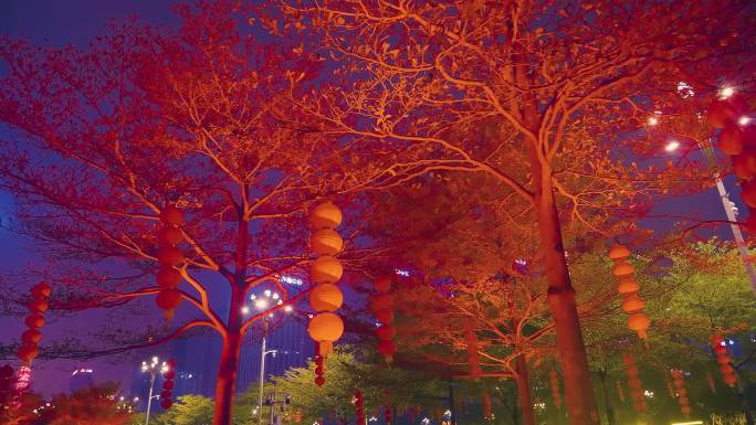 新年树林灯笼夜景