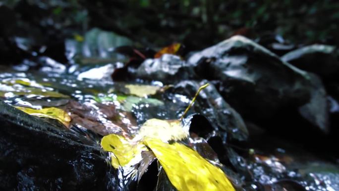 清凉甘甜的深山泉水