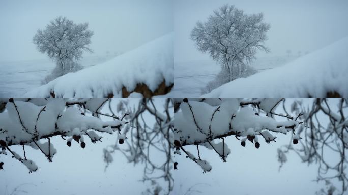 下雪天 雪树 雪景 树上积雪 雪霜