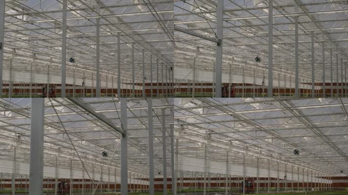 现代化蔬菜种植大棚空镜