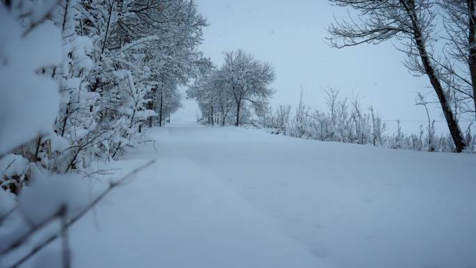 下大雪 农村马路积雪 雪景