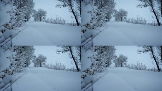 下大雪 农村马路积雪 雪景