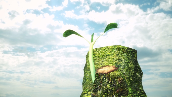 树桩木桩发芽三维动画视频素材青苔苔藓绿色