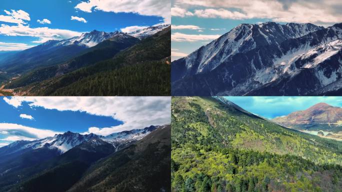 白马雪山 震撼航拍