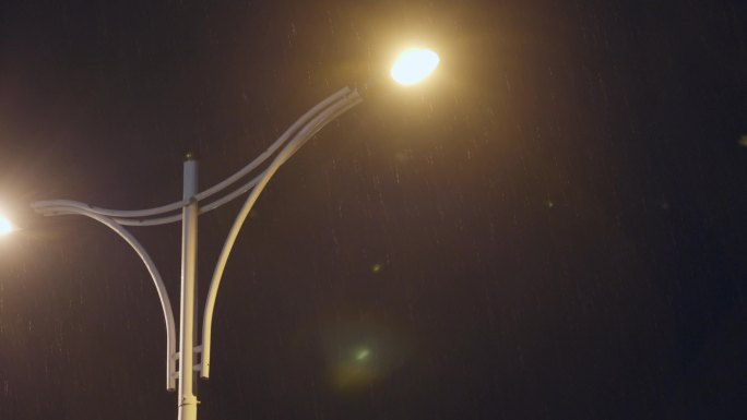 雨中路灯 大雨 夜景