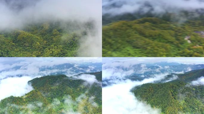 海南五指山热带雨林国家森林公园云海航拍