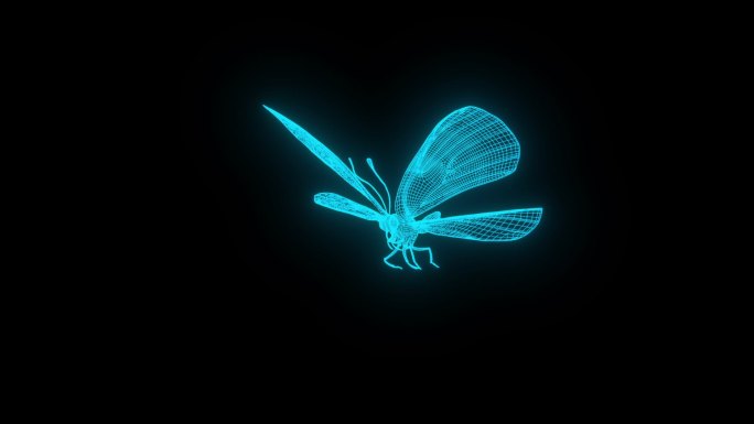 蓝色全息线框蝴蝶动画素材 【带通道】