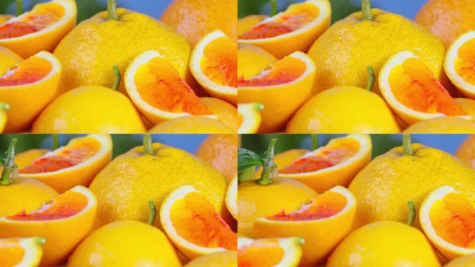 橙子血橙展示