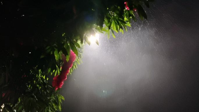 雨丝雾气 下雨烟雾 雨中雨丝 夜晚雨滴