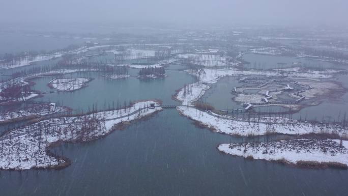 扬州北湖湿地公园雪景