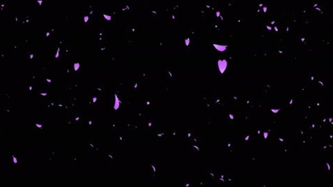 紫色花瓣飘落 唯美梦幻氛围感 黑底