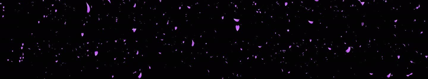 紫色花瓣飘落 唯美梦幻氛围感 黑底