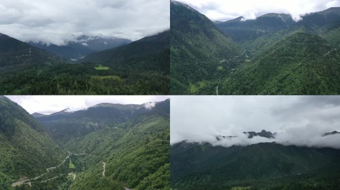 西藏林芝森林云雾环绕自然风光航拍