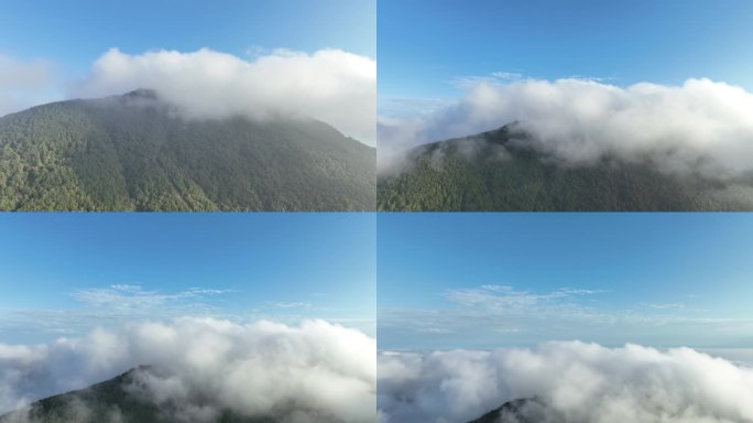 山峰云雾缭绕云海航拍雨后山上雾气森林风景