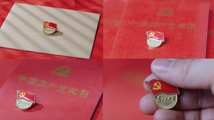 党徽章程党建党员学习