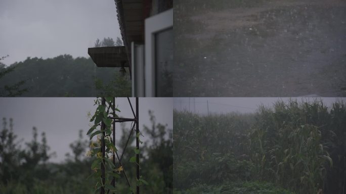 农村小院下雨场景