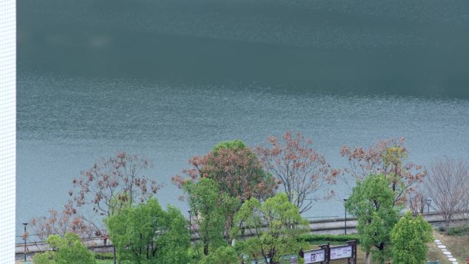 河滨公园湖面水波荡漾春风吹动湖面