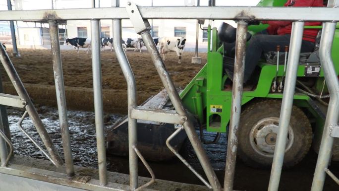 养牛场清粪车 清洁车 清洁卫生 养殖场