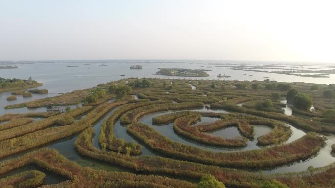 盐城大纵湖芦荡迷宫