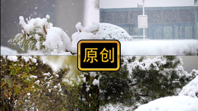 石家庄下雪