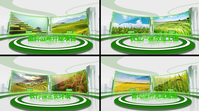 简洁绿色农业双图对比图文照片展示AE模板
