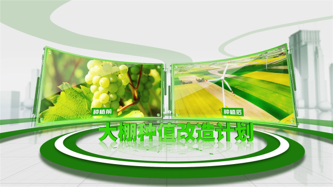 简洁绿色农业双图对比图文照片展示AE模板